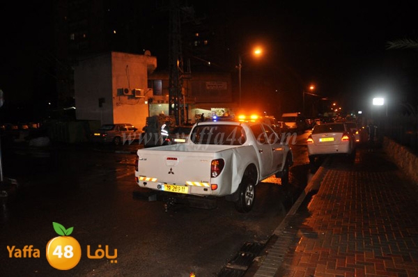 elykohen 1212 (4).JPG